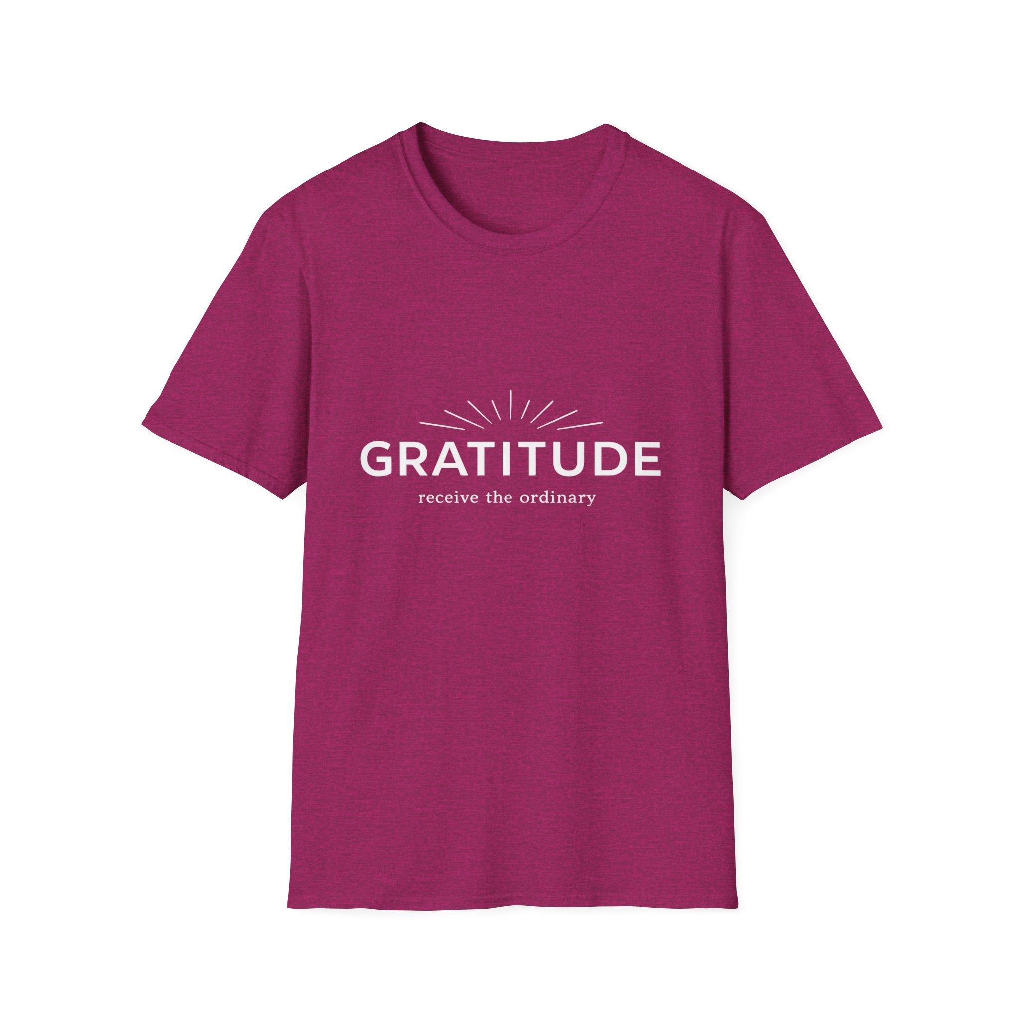 Gratitude – Receive the Ordinary Tee