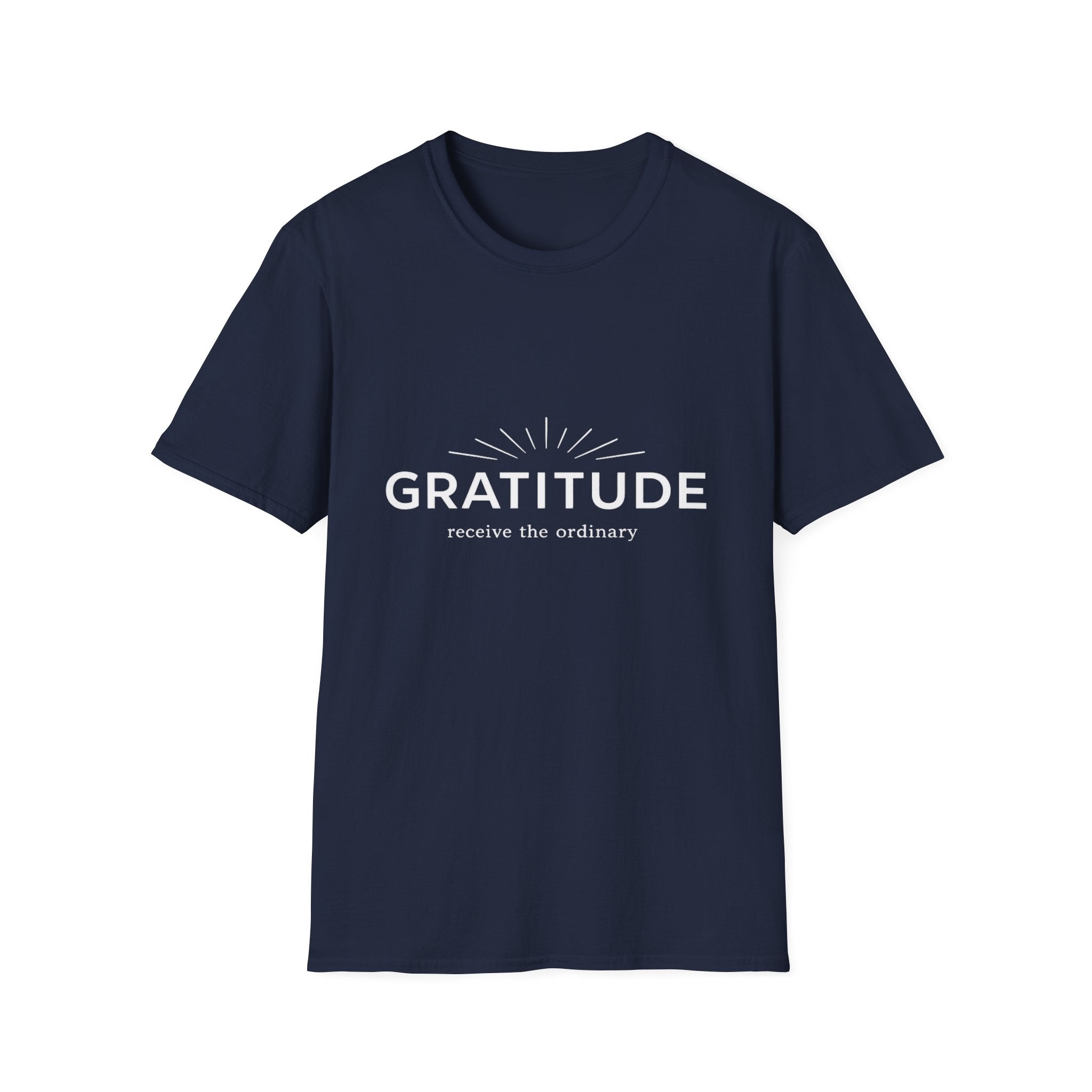 Gratitude – Receive the Ordinary Tee