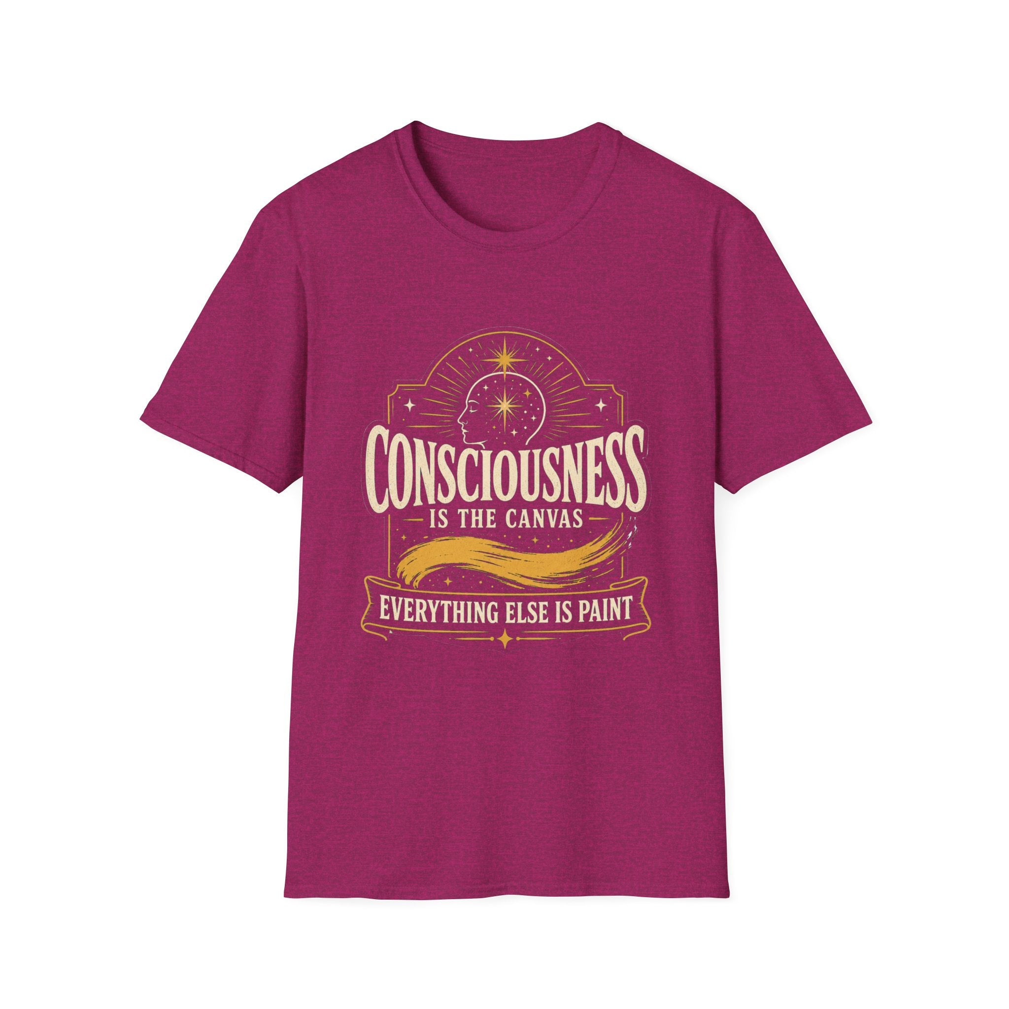 Consciousness Is the Canvas — Everything Else Is Paint -  Tee